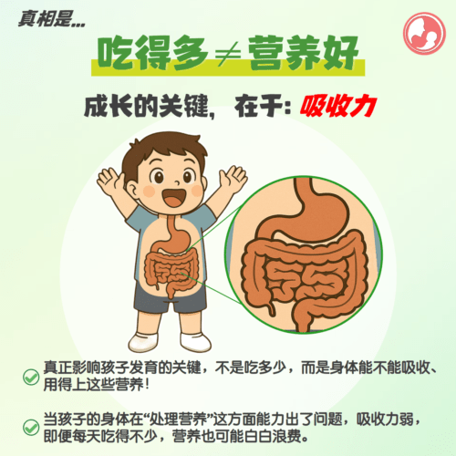 吃得多不代表营养好